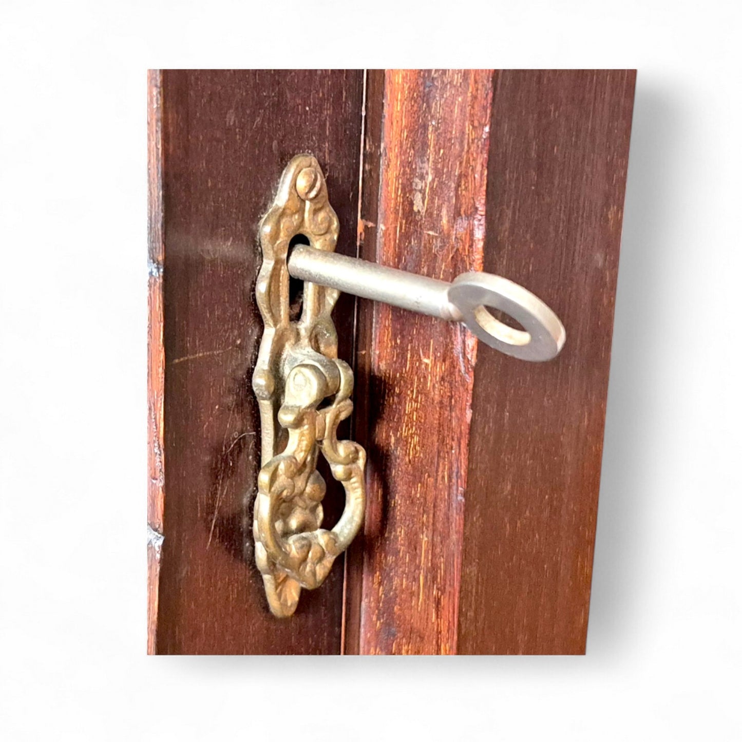 a91c6f733f675bd4d52c9ec68ec8edde