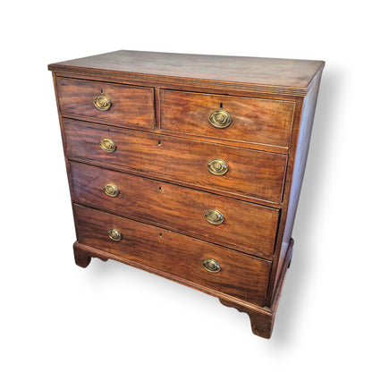 Antique 19th Century Mahogany Chest of Drawers – Georgian Victorian