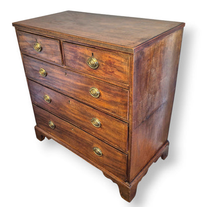 Antique 19th Century Mahogany Chest of Drawers – Georgian Victorian