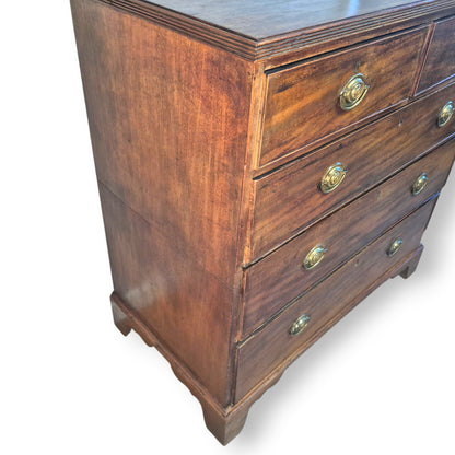 Antique 19th Century Mahogany Chest of Drawers – Georgian Victorian