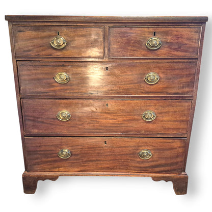 Antique 19th Century Mahogany Chest of Drawers – Georgian Victorian