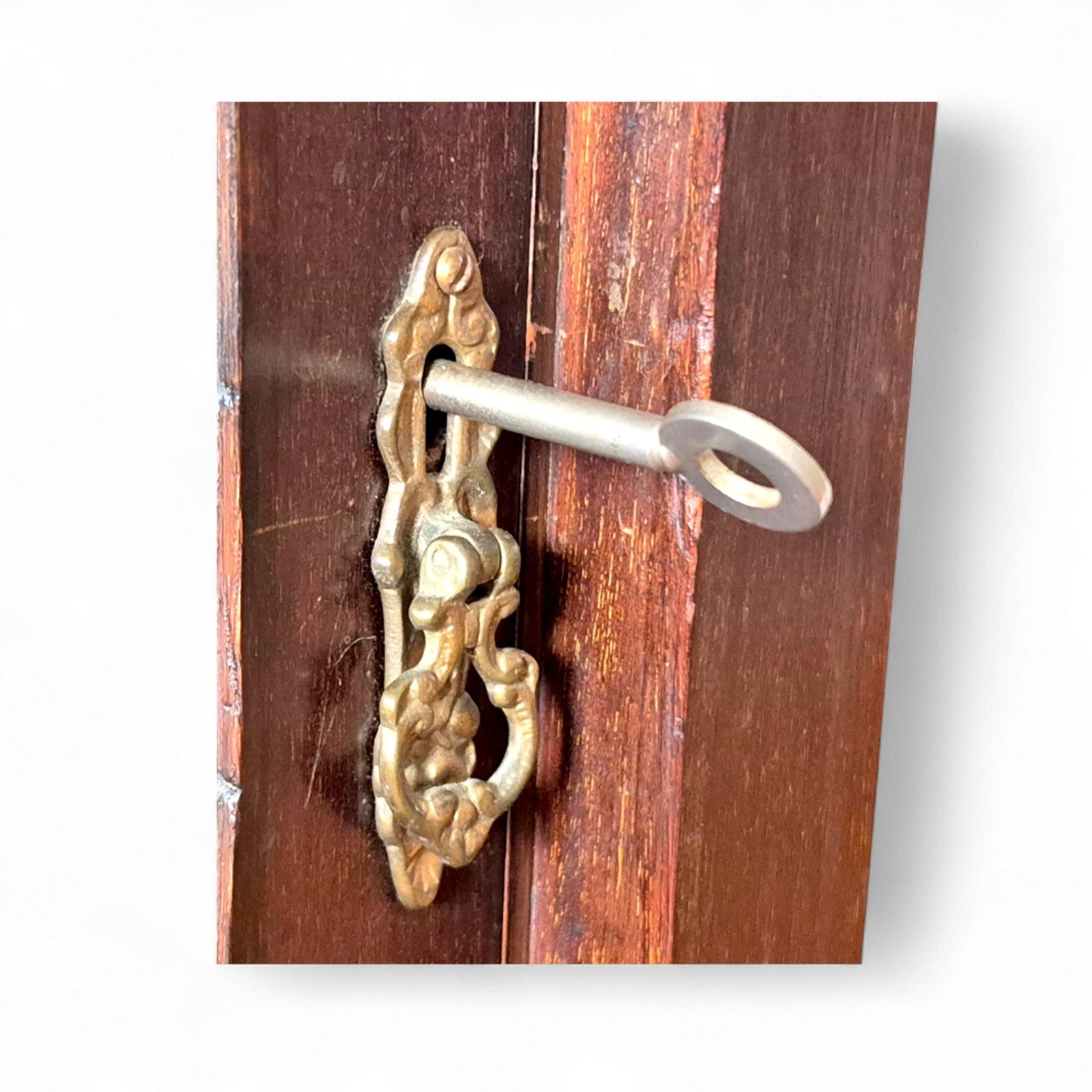 a91c6f733f675bd4d52c9ec68ec8edde