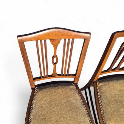 a0e591f7b7e9c0a486a2493c411d6532