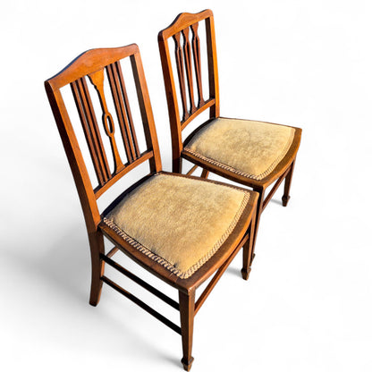 117badbbac61673222ced8fa7530c3a2