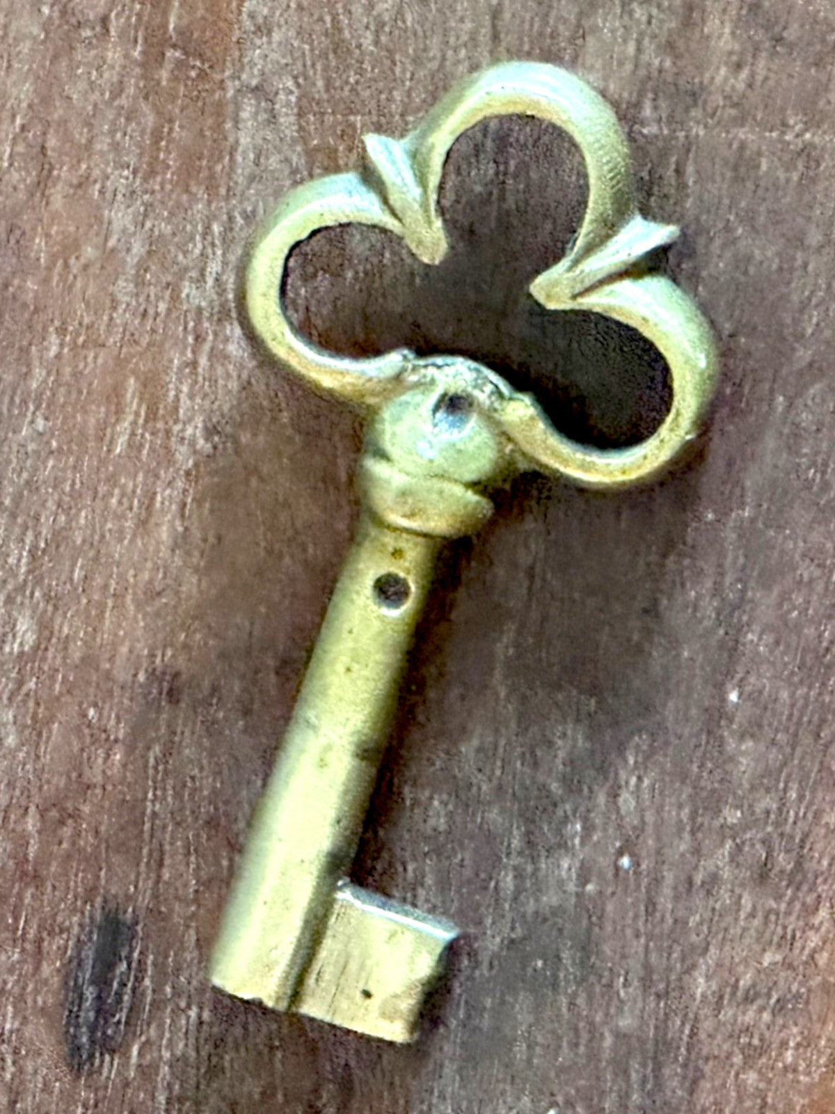 77fe66caf4e8998533d2225b195dc9b0