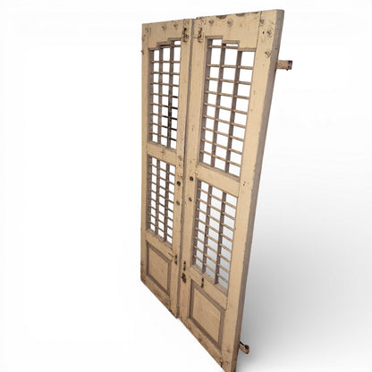Rustic Indian architectural salvage door panels